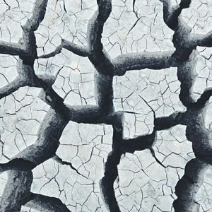 Meet your Posher, Guadalupe